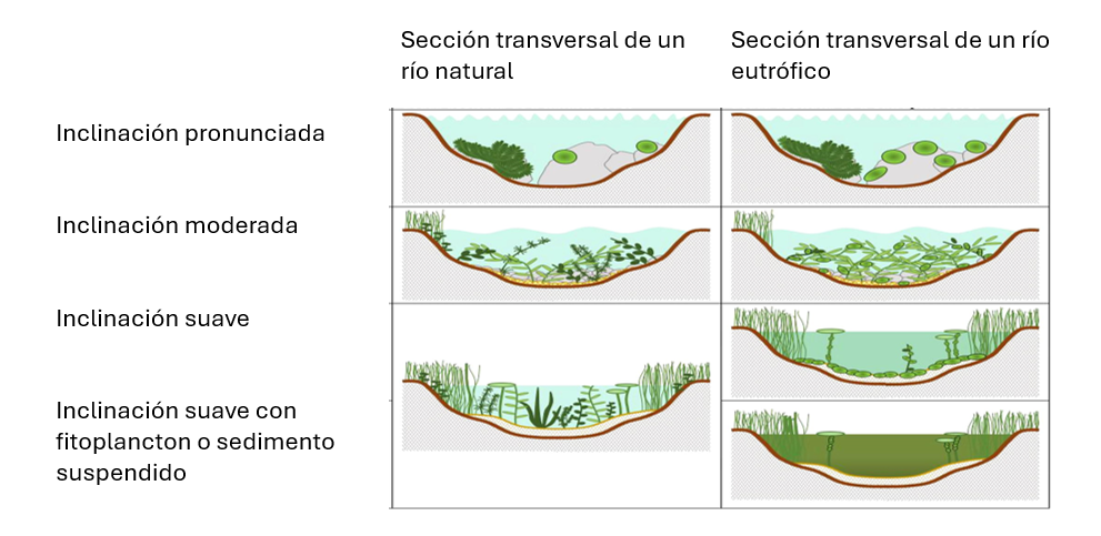 Comparación entre un cuerpo de agua en estado normal y un cuerpo de agua con eutrofización